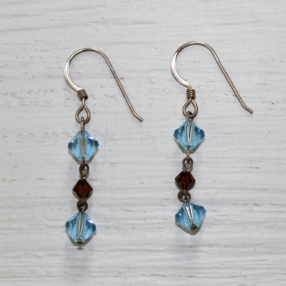 Blue & Brown Dangle Earrings
